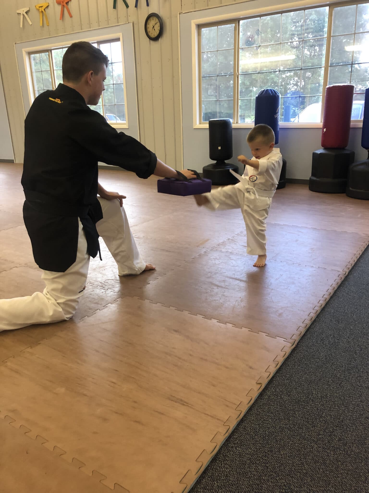 Dover Dragons Tae Kwon Do Introductory Program