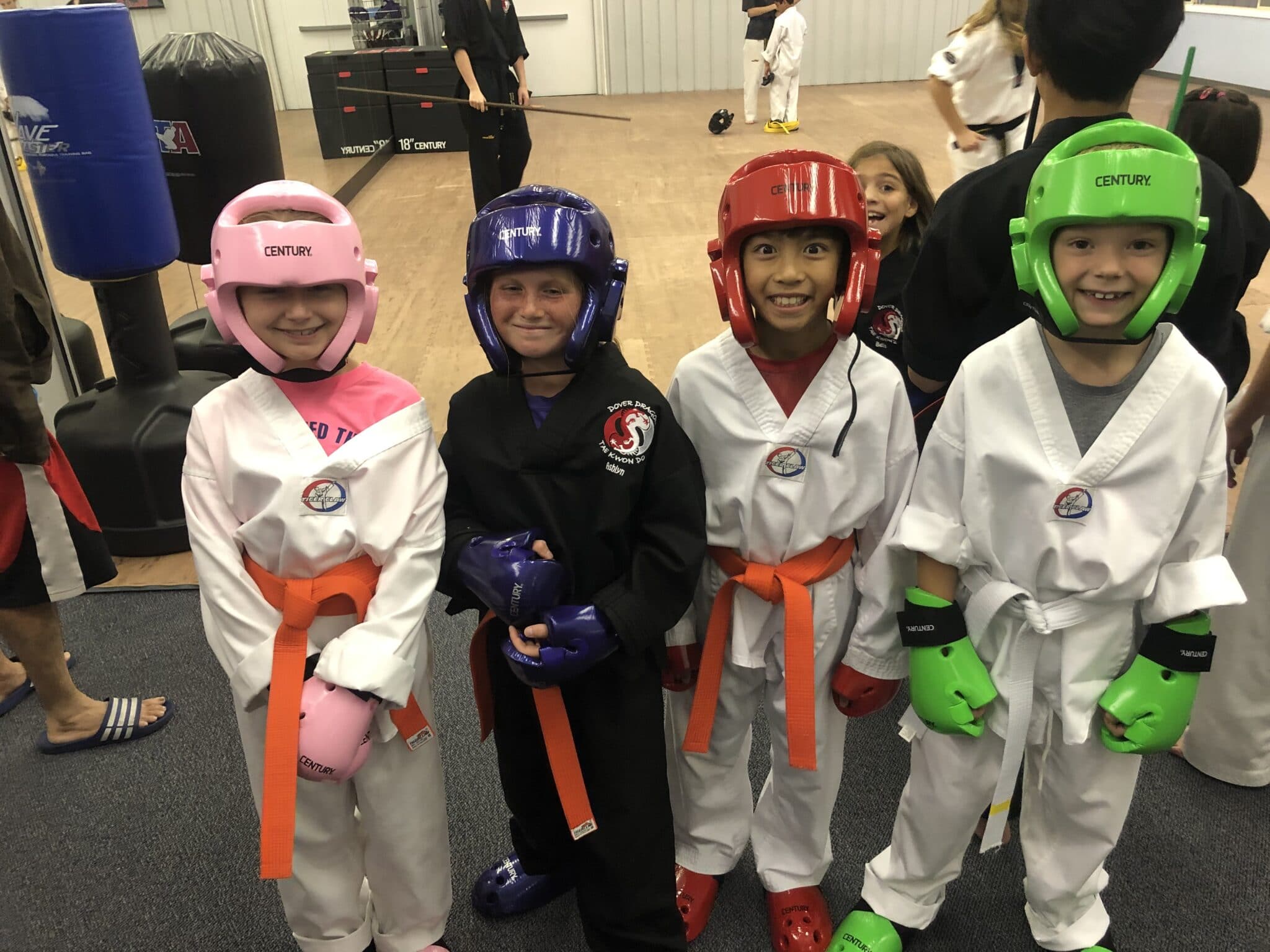Dover Dragons Tae Kwon Do 